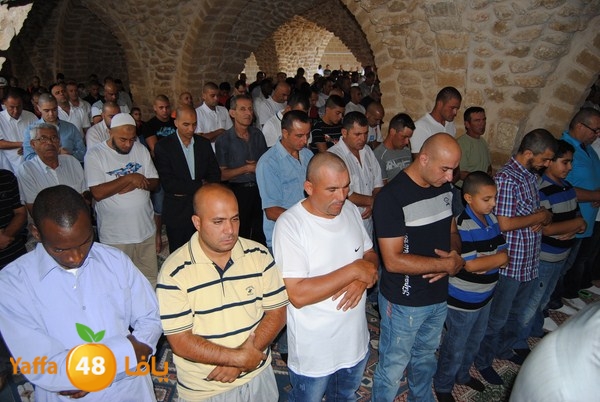 mahmoduia 3eed 808 (31).JPG